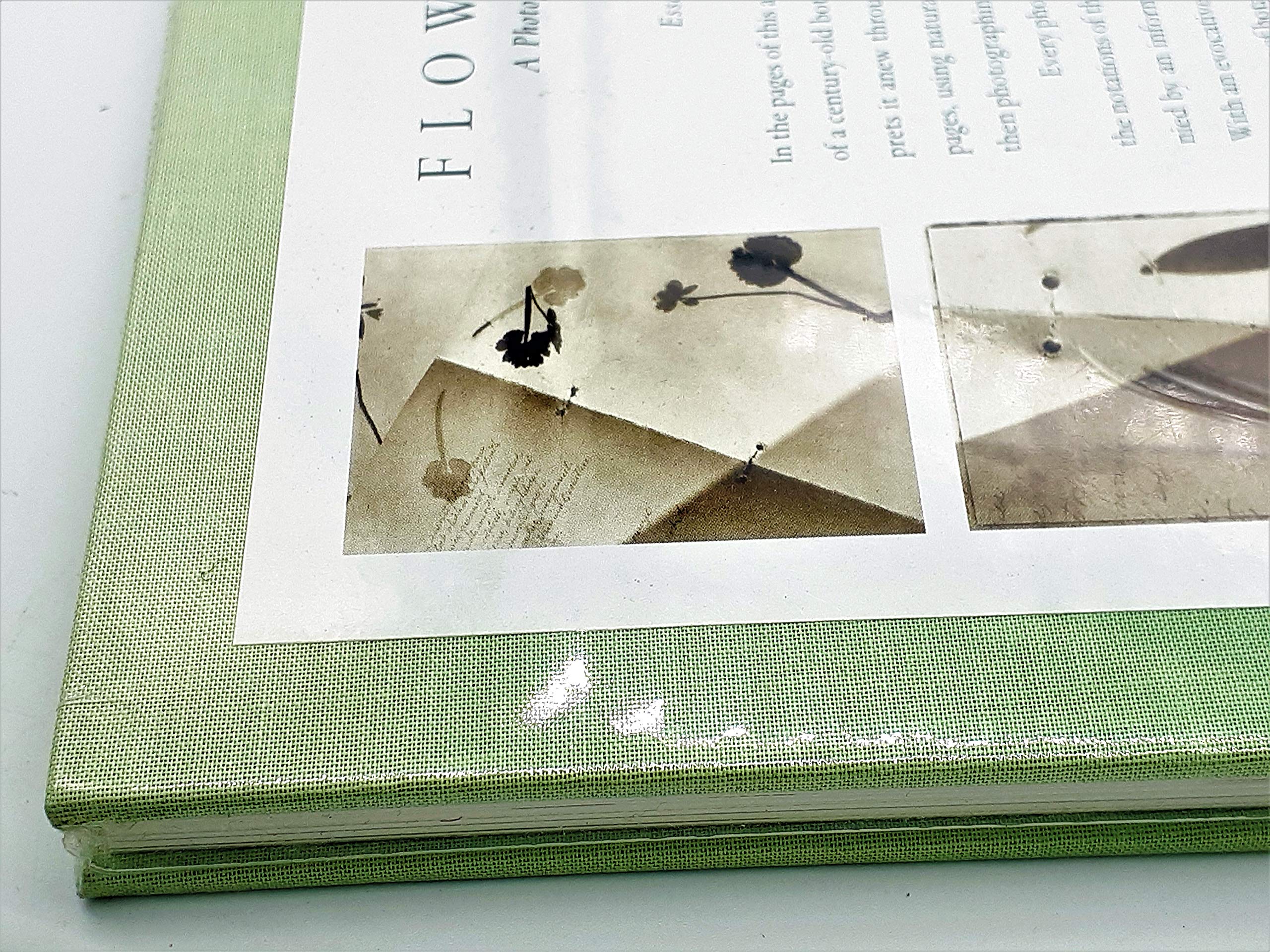 Amazon.co.jp: Zeva Oelbaum: 本、バイオグラフィー、最新アップデート